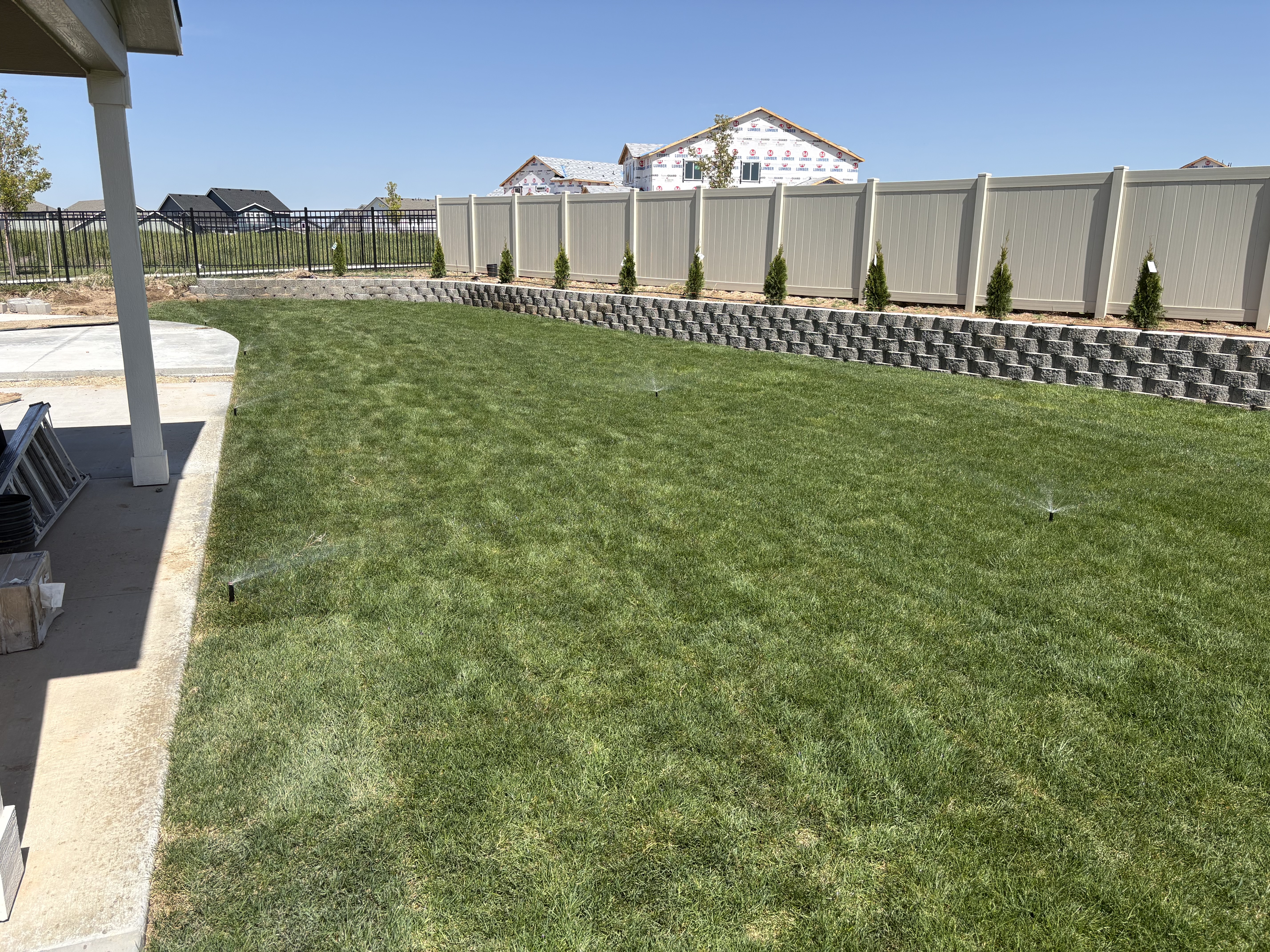 Project 02 backyard after sprinkler system installation